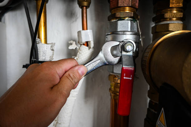 Best 24-Hour Plumber Near Me  in Berne, IN